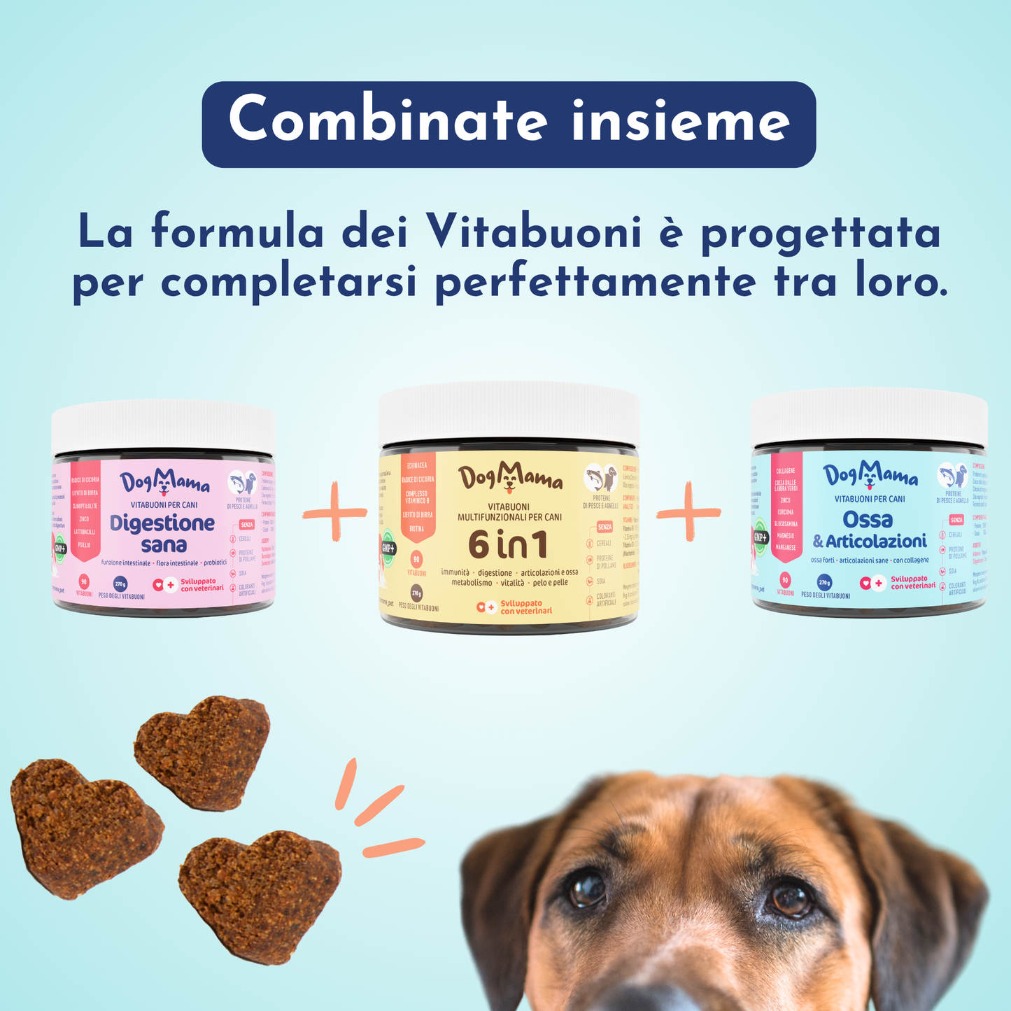 Multifunzione 6in1