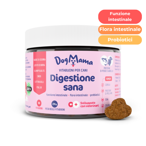 Digestione Sana + Probiotici