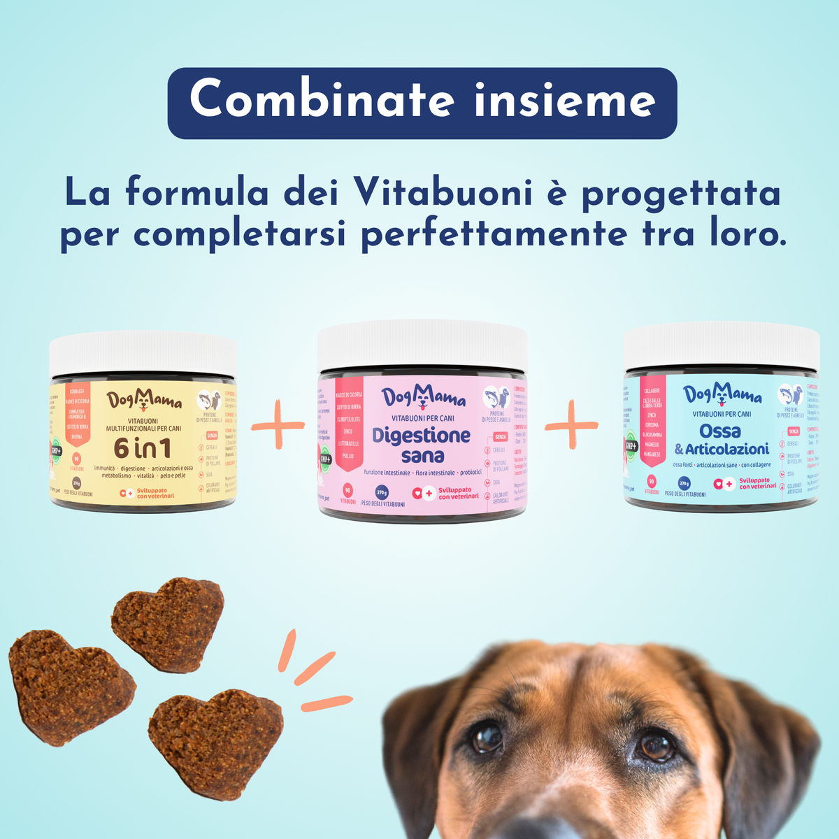 Digestione Sana + Probiotici