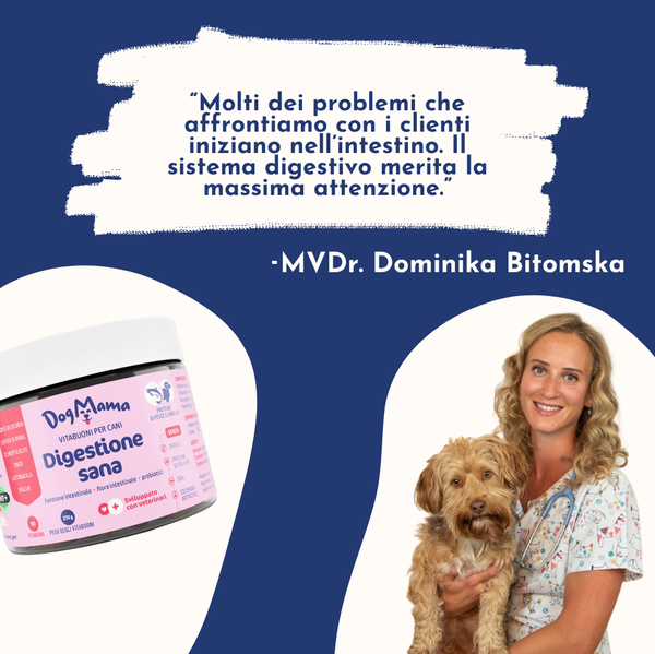 Digestione Sana + Probiotici