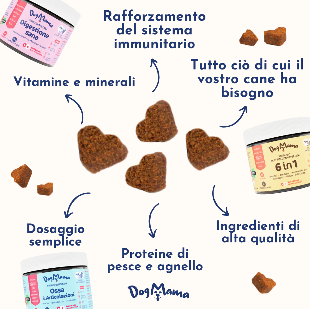 Digestione Sana + Probiotici