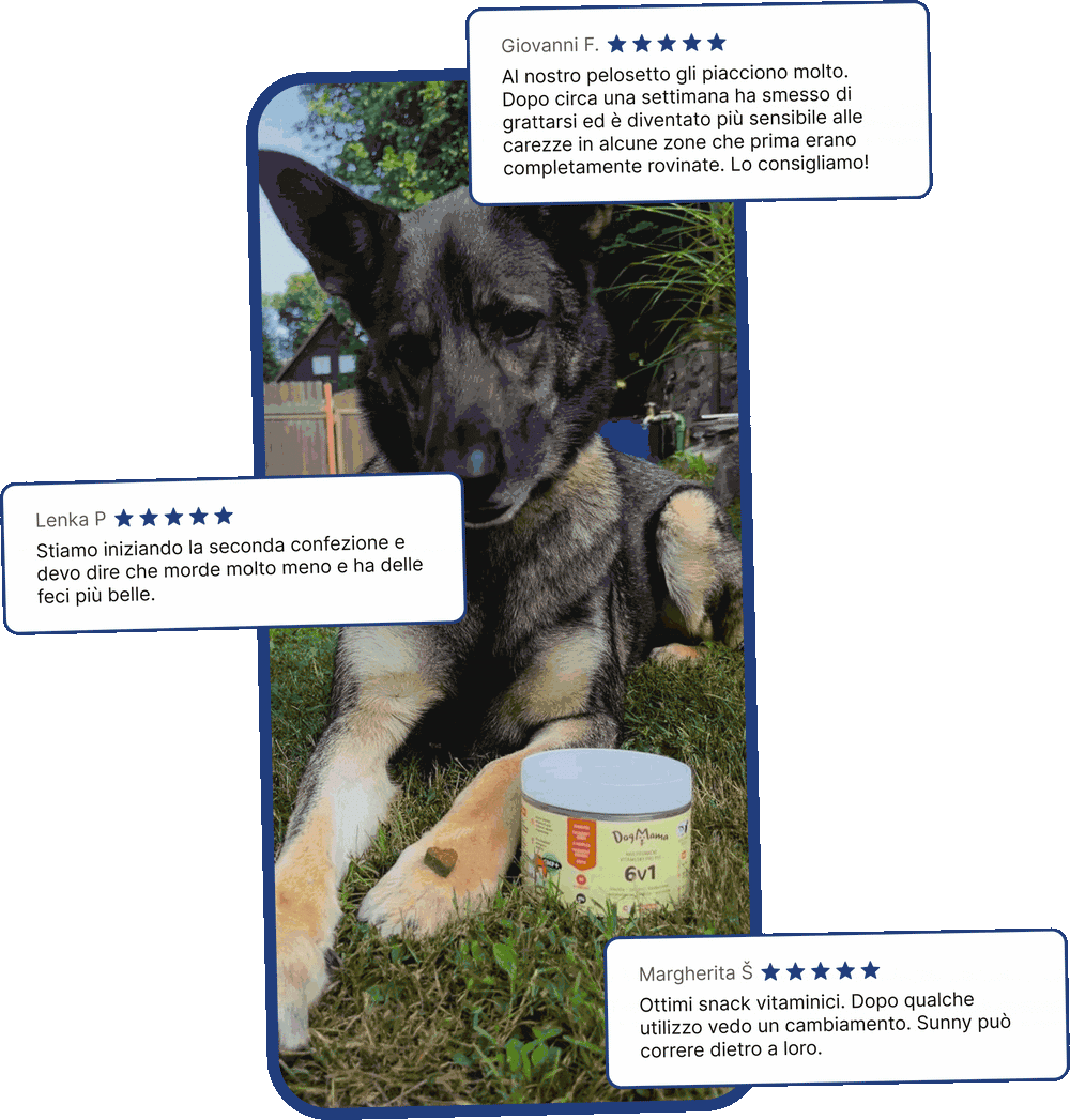 Dog-Mama.it | Vitabuoni per la salute dei cani