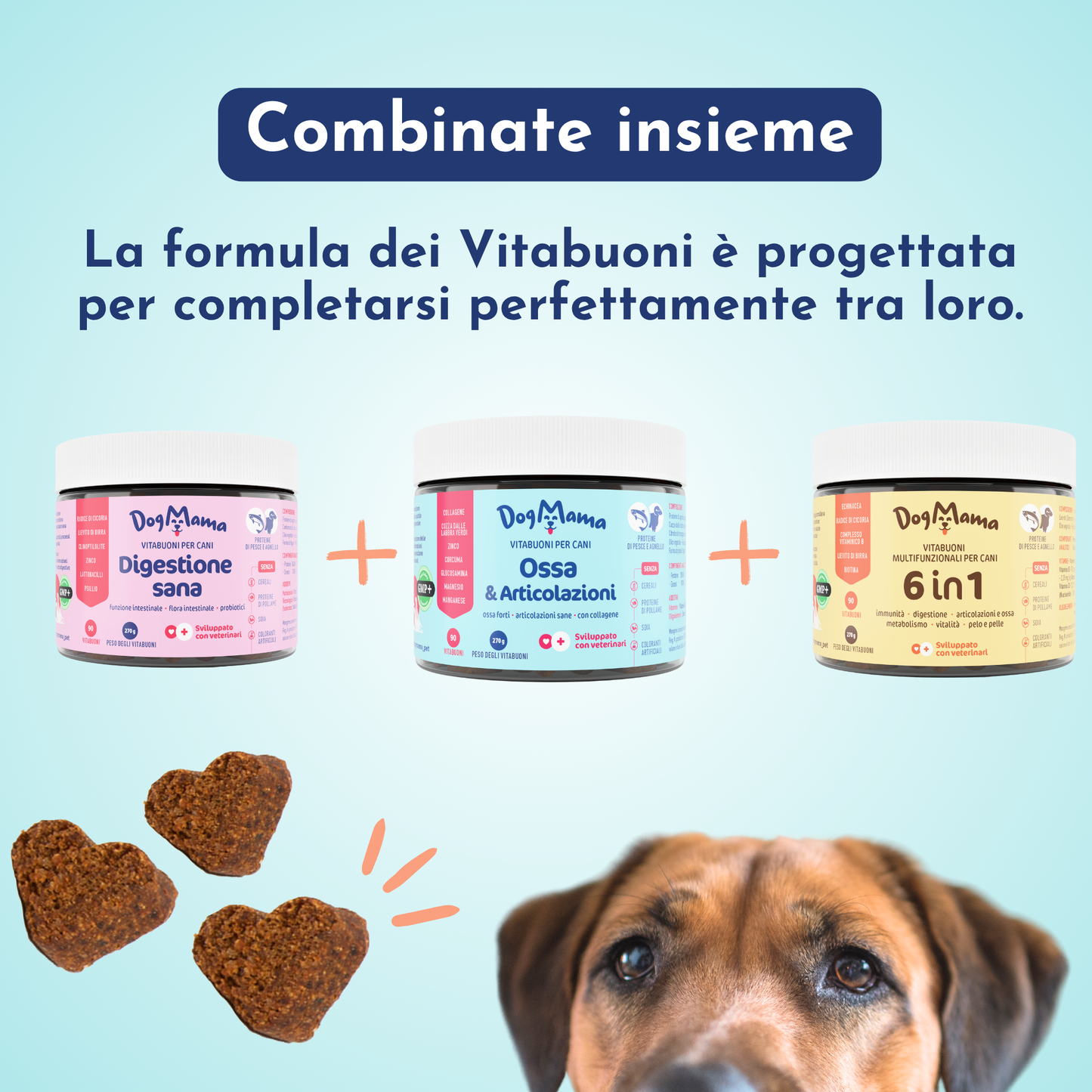 Articolazioni e Ossa + Collagene