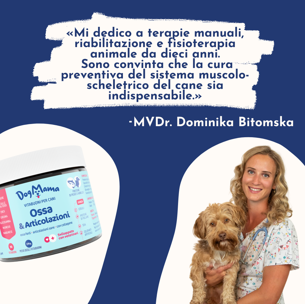 Articolazioni e Ossa + Collagene