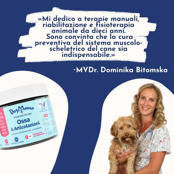 Articolazioni e Ossa + Collagene