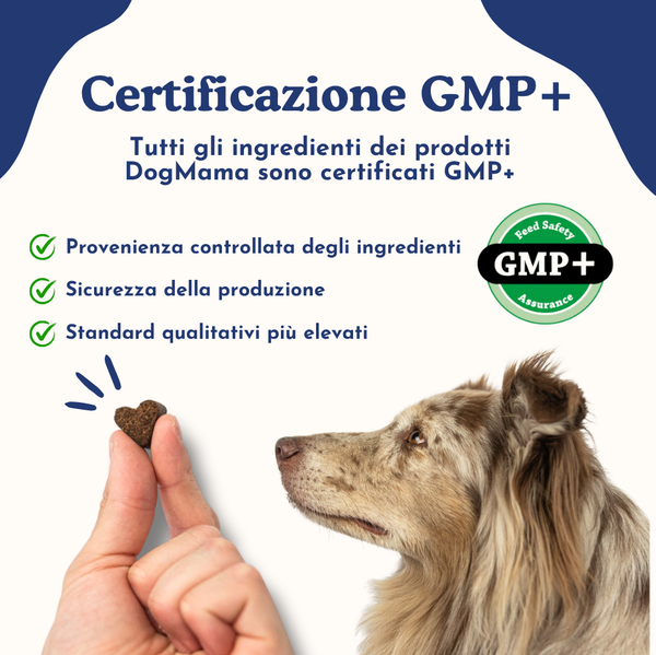 Digestione Sana + Probiotici