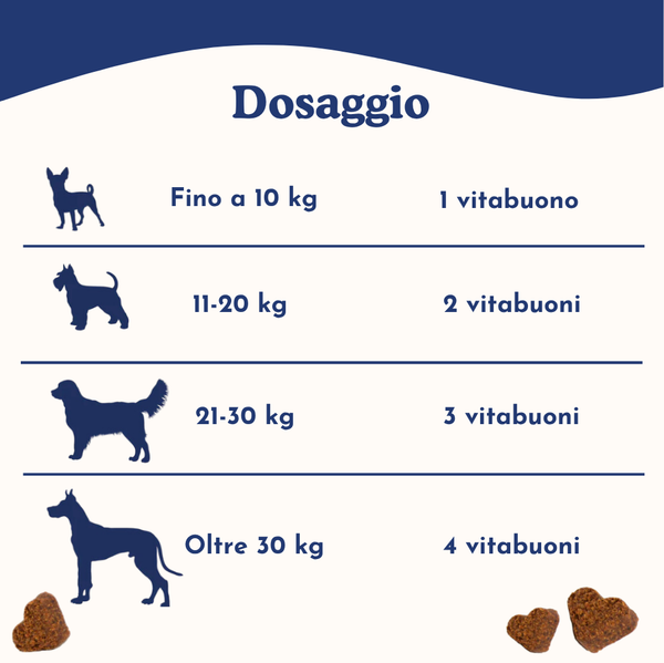 Digestione Sana + Probiotici
