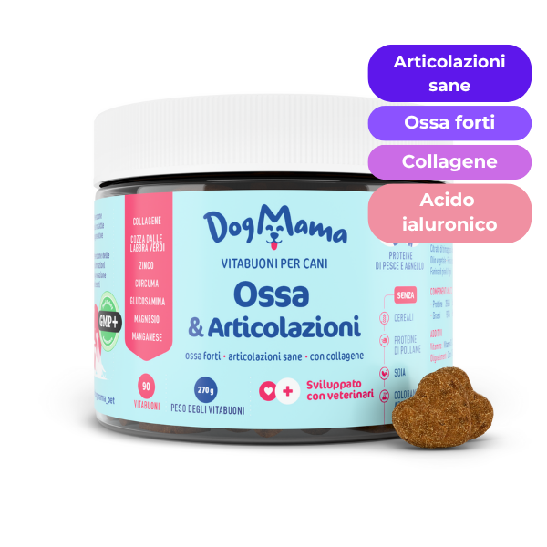 Articolazioni e Ossa + Collagene